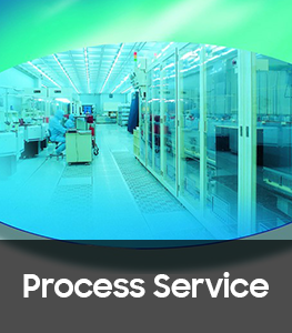 Process Service
